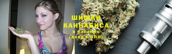 хмурый Абаза