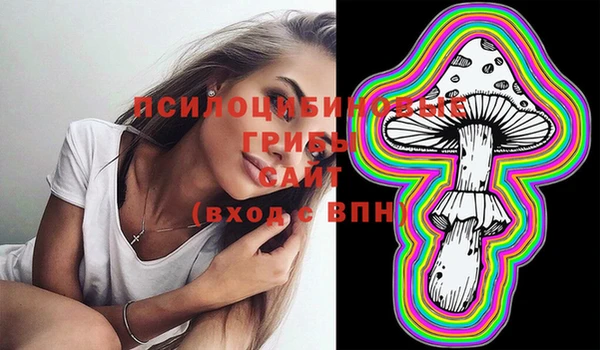 герыч Алзамай