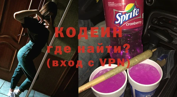 хмурый Абаза