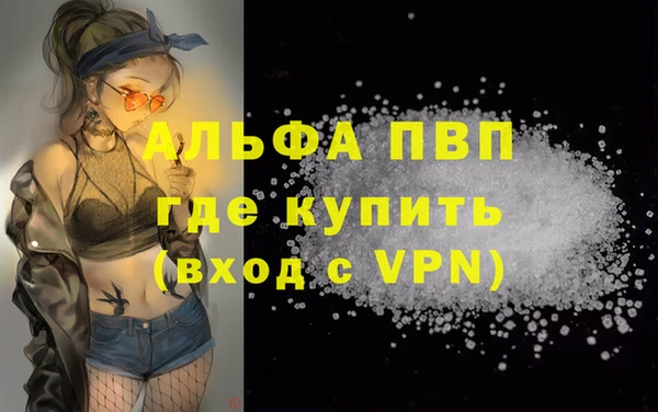 хмурый Абаза
