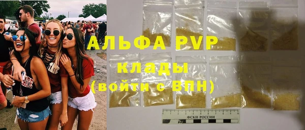 хмурый Абаза