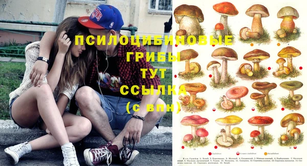 хмурый Абаза