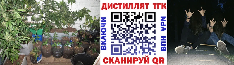 ТГК концентрат купить Ковров